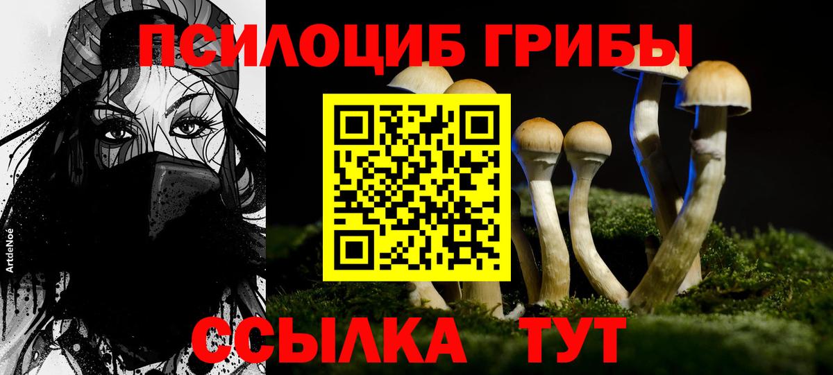 Ишим  Галлюциногенные грибы GOLDEN TEACHER  Вход с VPN 